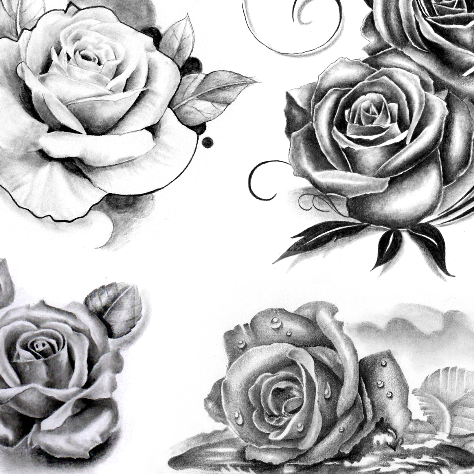 Rose Tattoo Designs: Lee, Leezey: 9798750244133: Amazon.com: Books